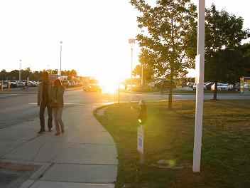 photo of low sun obscuring oncoming traffic